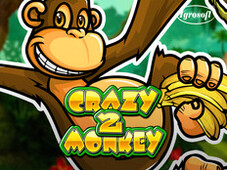 Crazy Monkey 2